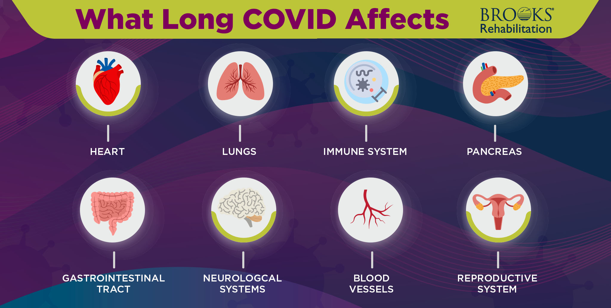 A visual list of all the body systems long COVID affects to include heart, lungs, immune system, gastrointestinal tract and more. 