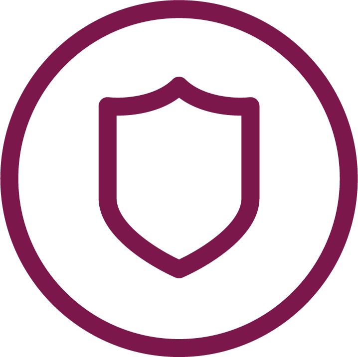 insurance icon