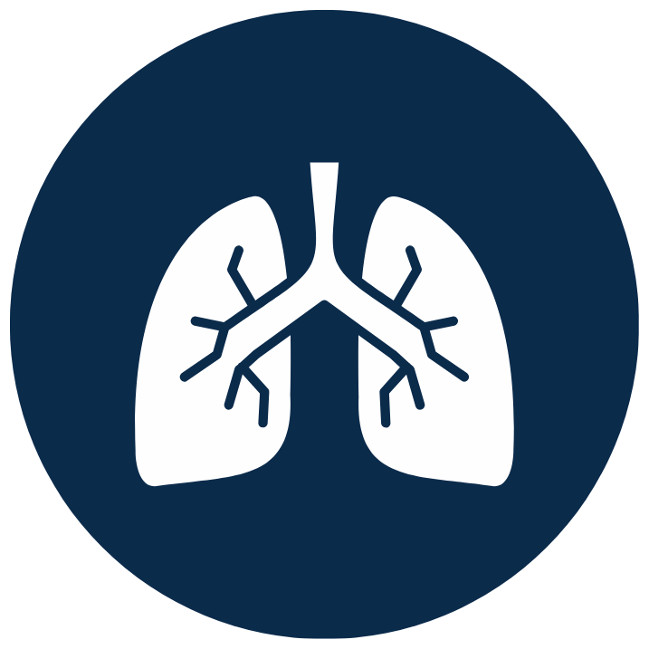 lung organ icon